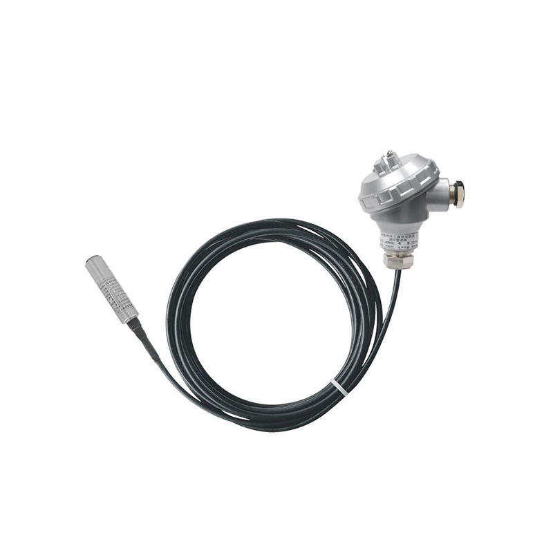 PB8600 transmissor de nível submersível